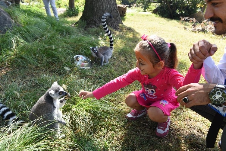 Bursalı çocuklara bayramı Hayvanat Bahçesi'nde