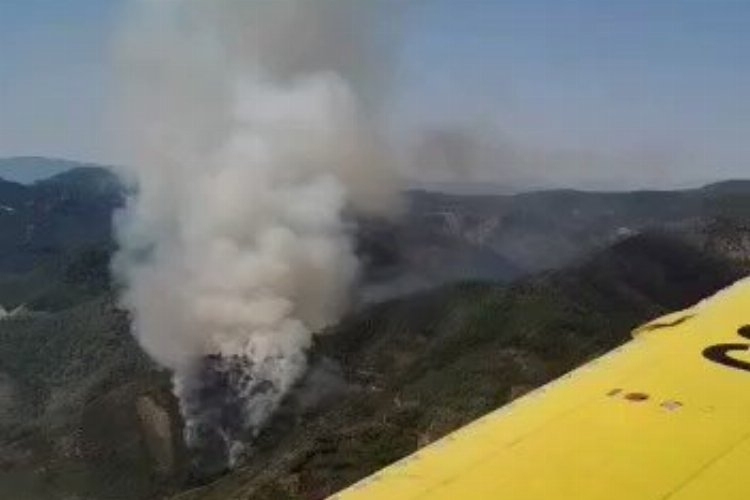 Muğla Marmaris'teki orman yangını sürüyor