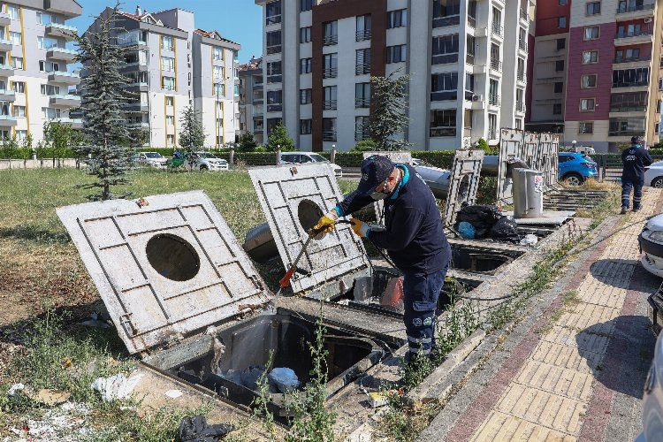 Bursa'da sinekle her yönden mücadele