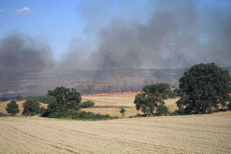 Keşan'da Büyük Yangın: 2 Bin Dönüm Alan Küle Döndü