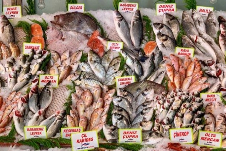 Balıkçılık ÜFE'si Haziran'da artış gösterdi