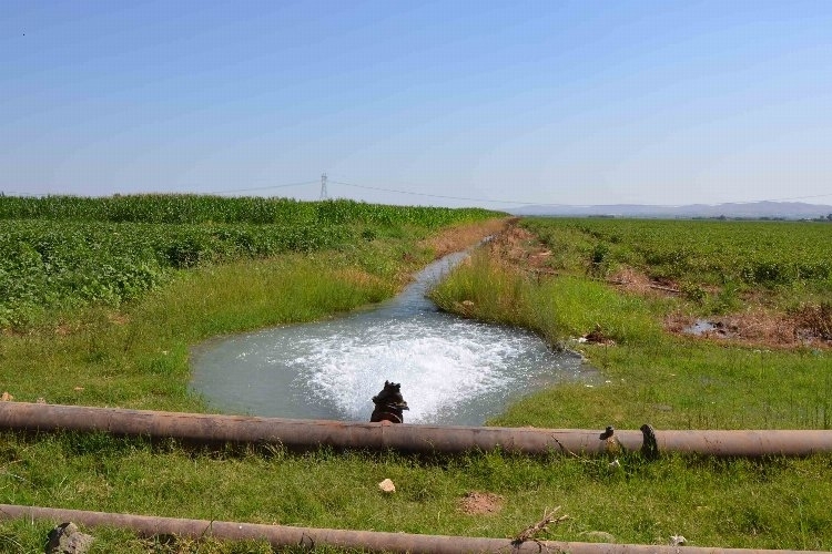 Şanlıurfa ve Mardin'deki 18 Bin Çiftçiyi İlgilendiren Tarımsal Sulama Abonelerine Son Uyarı!