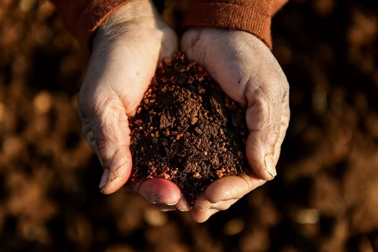 Mersin Büyükşehir, İklim Değişikliği ve Yeşil Dönüşüme Öncelik Veriyor