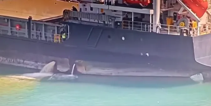 Mersin’de Dev Gemiye 13 Milyon TL Ceza