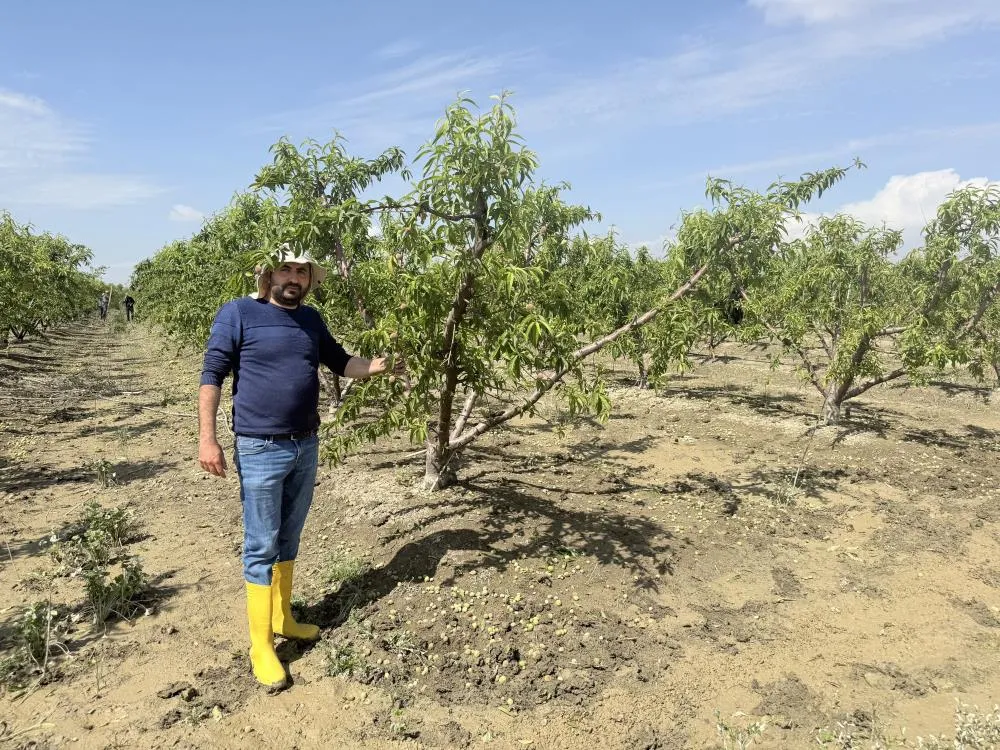 Mersin’de Sel Gitti Çilesi Kaldı: Tarsus Ovası’nda Çiftçi Çamurla Boğuşuyor!
